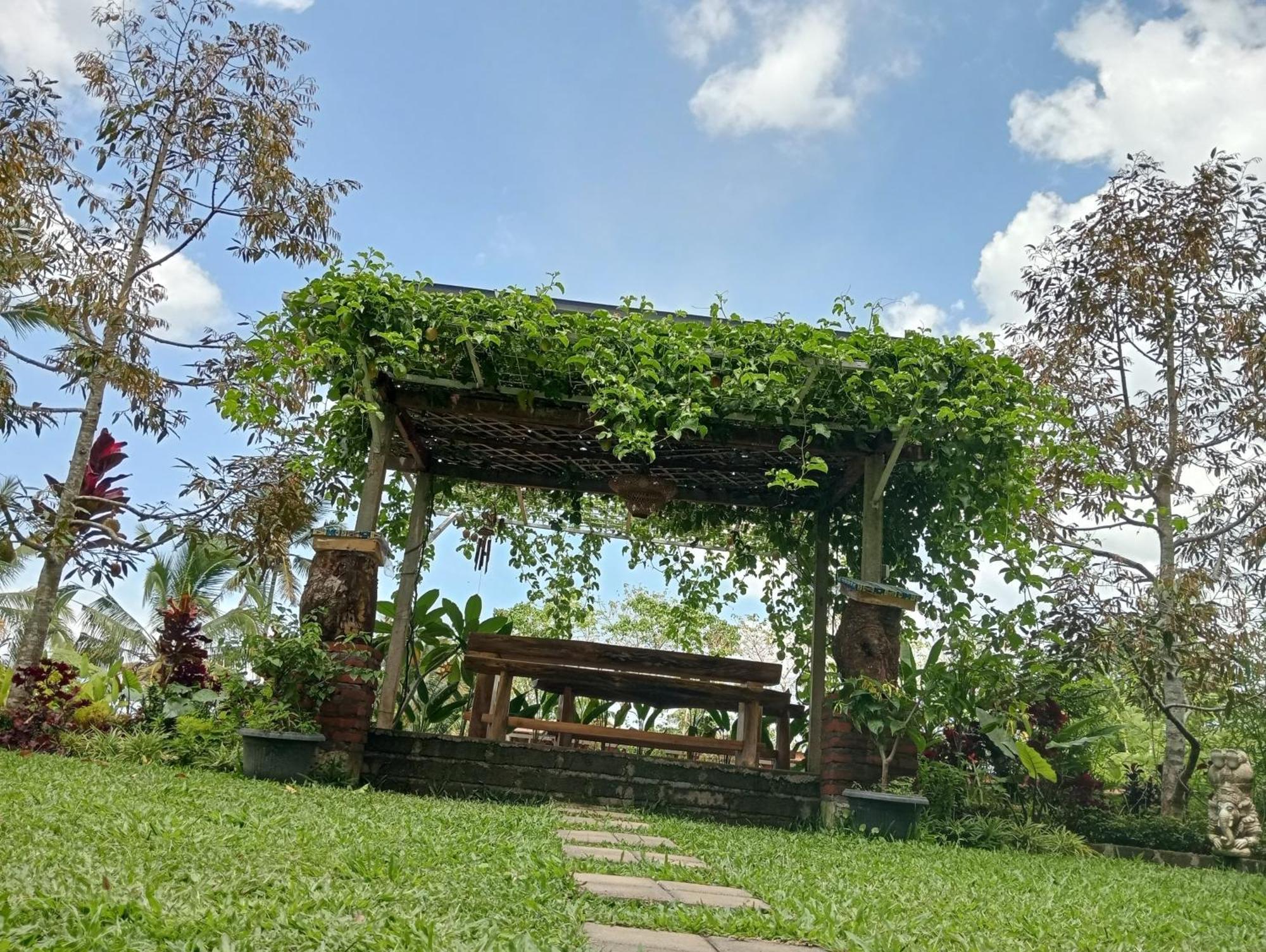 Sekumpul Bali Hidden Space Сингараджа Экстерьер фото